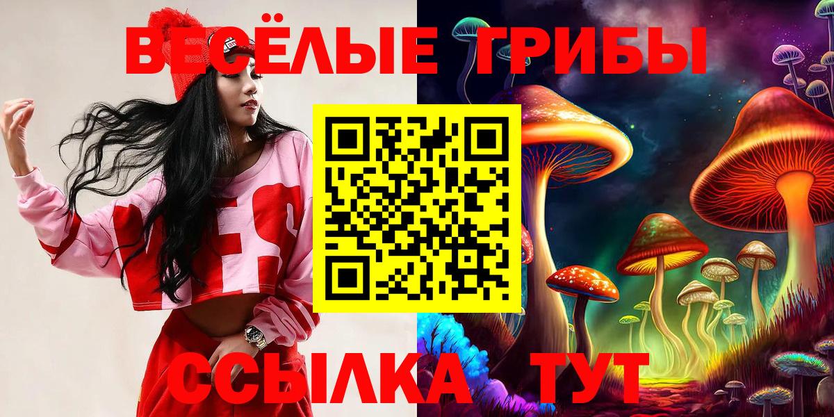 Сорочинск  Псилоцибиновые грибы мицелий  Галлюциногенные грибы мицелий  Вход с VPN 